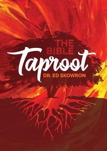 The Bible Taproot